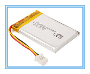 lithium polymer battery