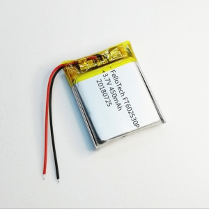 3.7V 450mAh li-polymer batteries 602530