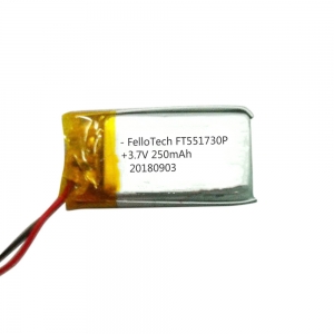 Whole sale better quality 3.7V 250mAh polymer lithium battery 551730