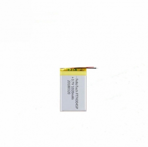 3.7V 1020mAh li-polymer batteries 743045