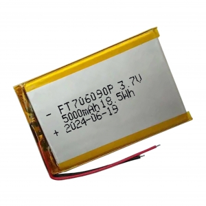 FT706090P