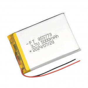 FT955773P